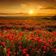 nature sunrise photography nature sunrise photography